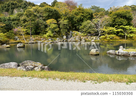 日本春天的京都,世界文化遺產天龍寺,特殊風景區曾池花園,櫻花盛開,綠意盎然 日本春天的京都,世界文化遺產天龍寺,特殊風景區曾池花園,櫻花盛開,綠意盎然 115030308