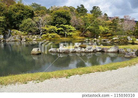 Spring in Kyoto, Japan: Tenryu-ji Temple, a World Heritage Site; Sogenchi Garden, a Special Place of Scenic Beauty; Cherry blossoms in full bloom and beautiful new greenery 115030310