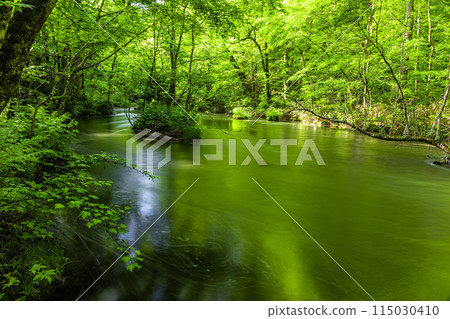 [Aomori Prefecture_Oirase Gorge] Ishigedo in early summer 115030410