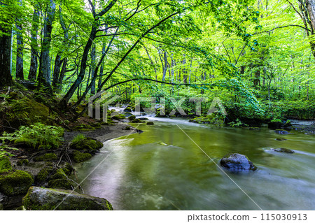 【青森縣_奧入瀨溪】初夏的三亂流 115030913
