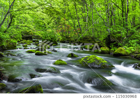 [Aomori Prefecture_Oirase Gorge] Sanran flow in early summer 115030968