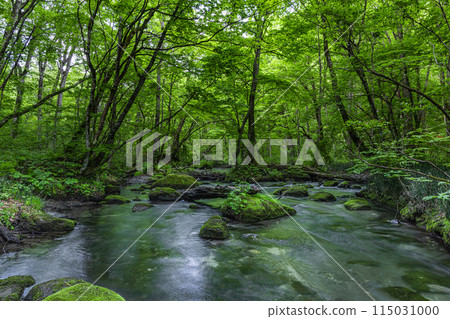 [Aomori Prefecture_Oirase Gorge] Sanran flow in early summer 115031000