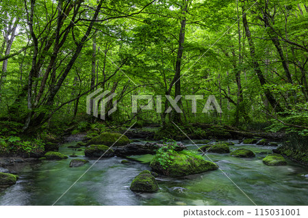 [Aomori Prefecture_Oirase Gorge] Sanran flow in early summer 115031001