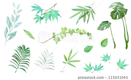 Watercolor leaf botanical decorative illustration set icon white background vector 115031043