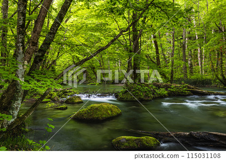 【青森縣_奧入瀨溪】初夏的三亂流 【青森縣_奧入瀨溪】初夏的三亂流 115031108