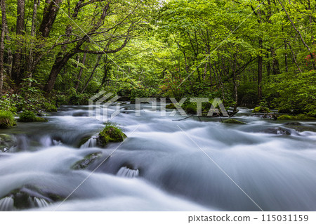 [Aomori Prefecture_Oirase Gorge] Sanran flow in early summer 115031159