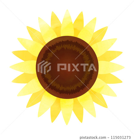 水彩向日葵的向量圖解 115031273