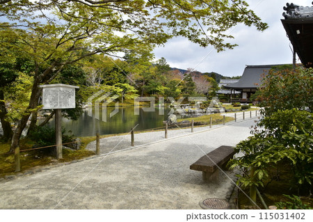 Spring in Kyoto, Japan: Tenryu-ji Temple, a World Heritage Site; Sogenchi Garden, a Special Place of Scenic Beauty; White guide sign, beautiful new greenery and flower petals 115031402