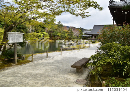 Spring in Kyoto, Japan: Tenryu-ji Temple, a World Heritage Site; Sogenchi Garden, a Special Place of Scenic Beauty; White guide sign, beautiful new greenery and flower petals Spring in Kyoto, Japan: Tenryu-ji Temple, a World Heritage Site; Sogenchi Garden, a Special Place of Scenic Beauty; White guide sign, beautiful new greenery and flower petals 115031404
