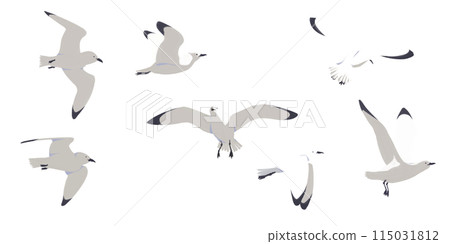 Flapping seagulls [transparent png material] 115031812