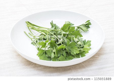 新鮮的義大利歐芹、綠色和黃色蔬菜、綠色香草、新收穫的義大利歐芹、健康蔬菜、鹹味蔬菜 新鮮的義大利歐芹、綠色和黃色蔬菜、綠色香草、新收穫的義大利歐芹、健康蔬菜、鹹味蔬菜 115031889