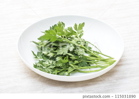 新鮮的義大利歐芹、綠色和黃色蔬菜、綠色香草、新收穫的義大利歐芹、健康蔬菜、鹹味蔬菜 新鮮的義大利歐芹、綠色和黃色蔬菜、綠色香草、新收穫的義大利歐芹、健康蔬菜、鹹味蔬菜 115031890