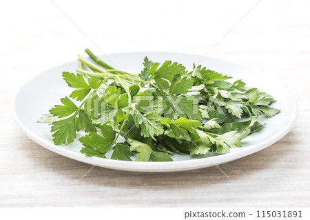 Fresh Italian parsley, green and yellow vegetables, green herbs, freshly picked Italian parsley, healthy vegetables, aromatic vegetables 115031891