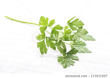 Fresh Italian parsley, green and yellow vegetables, green herbs, freshly picked Italian parsley, healthy vegetables, aromatic vegetables Fresh Italian parsley, green and yellow vegetables, green herbs, freshly picked Italian parsley, healthy vegetables, aromatic vegetables 115031897