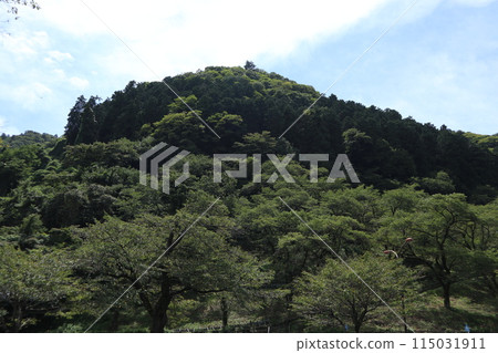 相模原津久井湖城山公園 相模原津久井湖城山公園 115031911