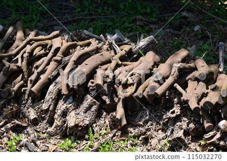 木柴的圖像（用於露營等） 115032270