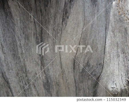 Patterns and lines on the bark of trees 115032349