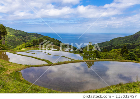 [Niigata Prefecture, Sado, Iwakubi Shoryu Rice Terraces] Blue sea and water mirror rice terraces in May 115032457