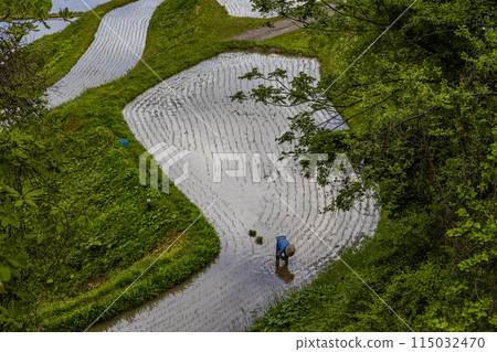 [新潟縣、佐渡、岩久升龍梯田]藍色的大海和水鏡梯田5月 115032470