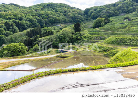 [新潟縣、佐渡、岩久升龍梯田]藍色的大海和水鏡梯田5月 115032480