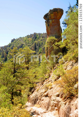 Chiricahua National Monument Arizona Chiricahua National Monument Arizona 115033769