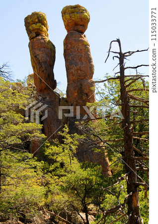 Chiricahua National Monument Arizona Chiricahua National Monument Arizona 115033771