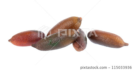 Fresh finger limes isolated on white background. Caviar lime. Fruits pods. Clipping path. Fresh finger limes isolated on white background. Caviar lime. Fruits pods. Clipping path. 115033936