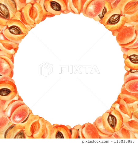Round fruit frame of ripe orange pink apricots with green leaves, brown pit. Watercolor illustration with apricot crush color for harvest day template design, labels, kitchen textiles Round fruit frame of ripe orange pink apricots with green leaves, brown pit. Watercolor illustration with apricot crush color for harvest day template design, labels, kitchen textiles 115033983