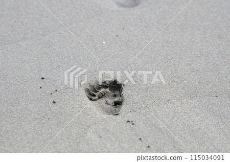 The foot of the sandy beach 115034091