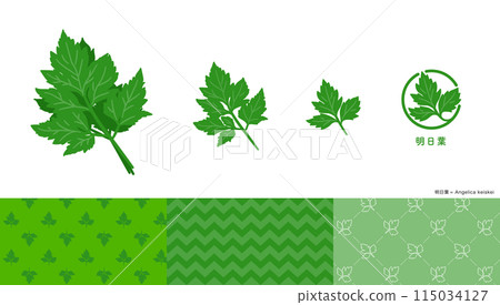 Set of illustrations, icons and patterns of angelica. 115034127