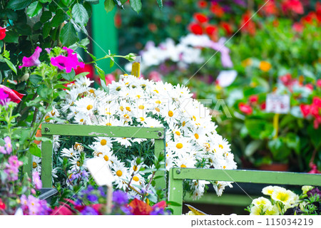 Flowers for sale 115034219