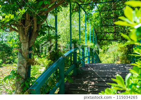 美麗的綠色村莊花園紅山石南花森林<三重縣津市> 美麗的綠色村莊花園紅山石南花森林<三重縣津市> 115034265