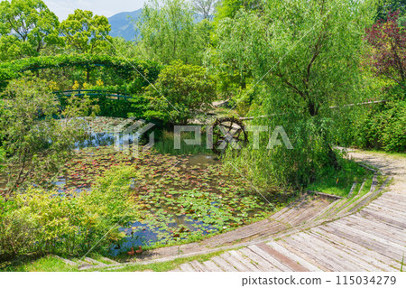 美麗的綠色村莊花園紅山石南花森林<三重縣津市> 115034279