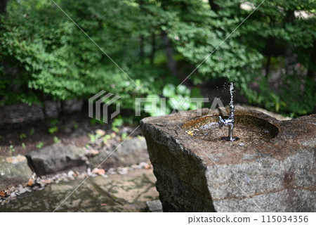 landscape with drinking fountain 115034356