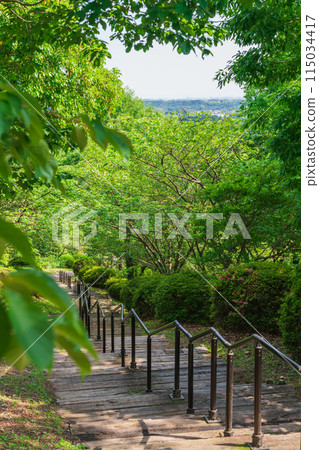 美麗的綠色村莊花園紅山石南花森林<三重縣津市> 115034417