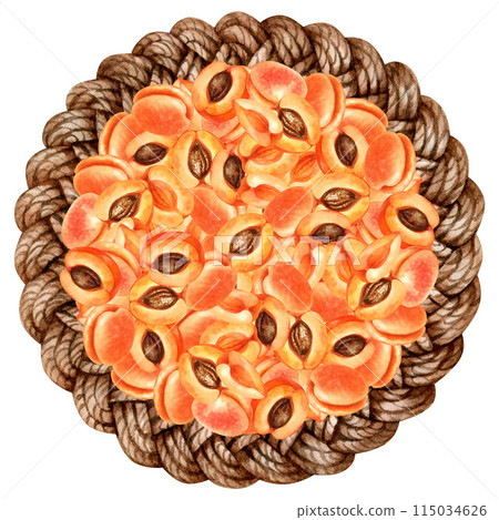 Round fruit composition of ripe orange pink apricots. Watercolor illustration with apricot crush color for harvest day template design, labels, kitchen textiles 115034626