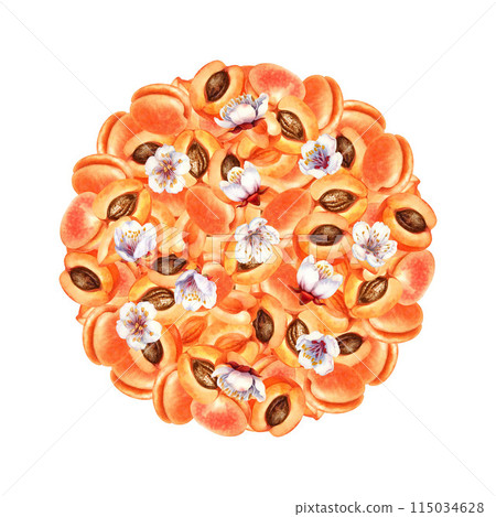 Round fruit composition of ripe orange pink apricots. Watercolor illustration with apricot crush color for harvest day template design, labels, kitchen textiles Round fruit composition of ripe orange pink apricots. Watercolor illustration with apricot crush color for harvest day template design, labels, kitchen textiles 115034628
