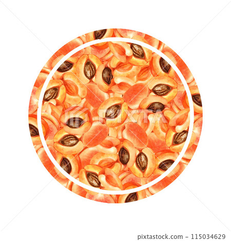Round fruit composition of ripe orange pink apricots. Watercolor illustration with apricot crush color for harvest day template design, labels, kitchen textiles Round fruit composition of ripe orange pink apricots. Watercolor illustration with apricot crush color for harvest day template design, labels, kitchen textiles 115034629