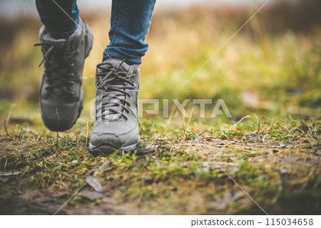 shoes in a forest shoes in a forest 115034658