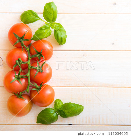 tomatoes and basil 115034695