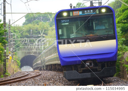 E253系列1000系列雨中 115034995