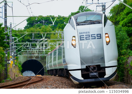 Limited Express Shiosai (E259 series) running on the Sobu Main Line Limited Express Shiosai (E259 series) running on the Sobu Main Line 115034996