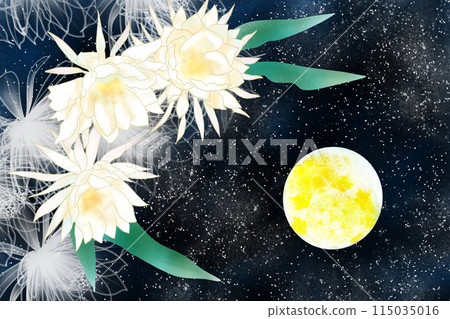 月光美女花滿月卡 115035016