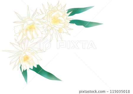 月光美女花卡1 115035018