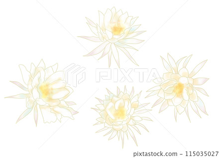 月光下的美女花卡2 月光下的美女花卡2 115035027