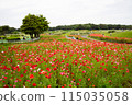 Poppy on one side 115035058