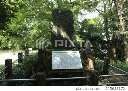 相模原津久井湖城山公園 115035172