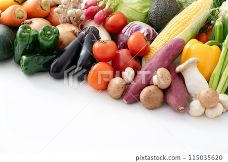各種蔬菜的集合 115035620