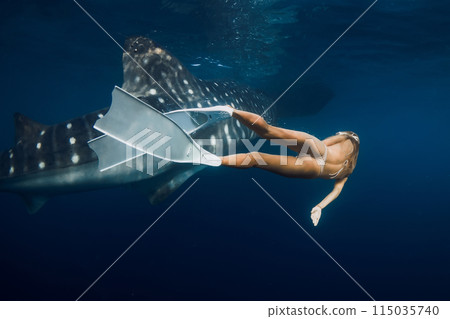 Whale shark and sexy woman in blue ocean. Snorkeling girl with shark underwater Whale shark and sexy woman in blue ocean. Snorkeling girl with shark underwater 115035740