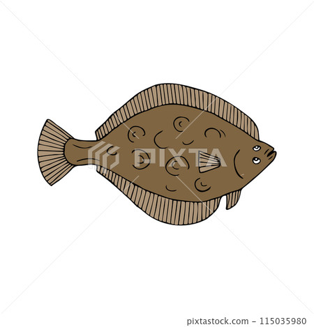 Vector hand drawn colored flounder fish 115035980